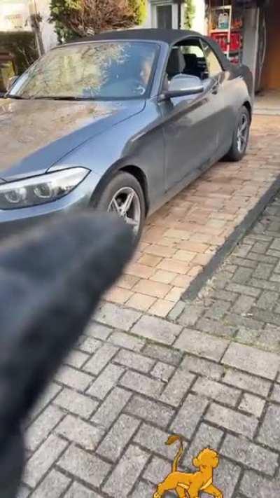 Wish You Good Luck Granny