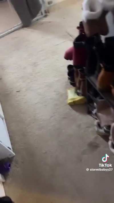 ICE agents chase DoorDasher/mother into couple's house as homeowners' panic