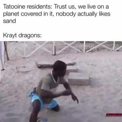 I just know their digestive tract is super exfoliated and shiny