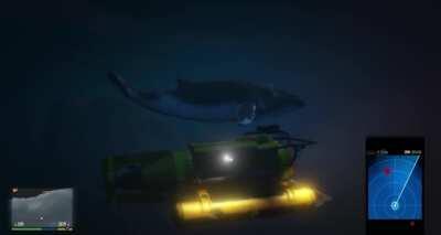 Never knew GTA V had whales!