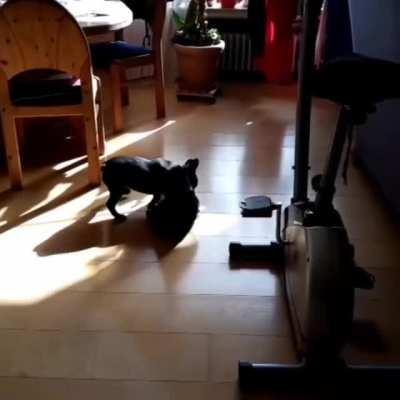 Time for a nice stretch...