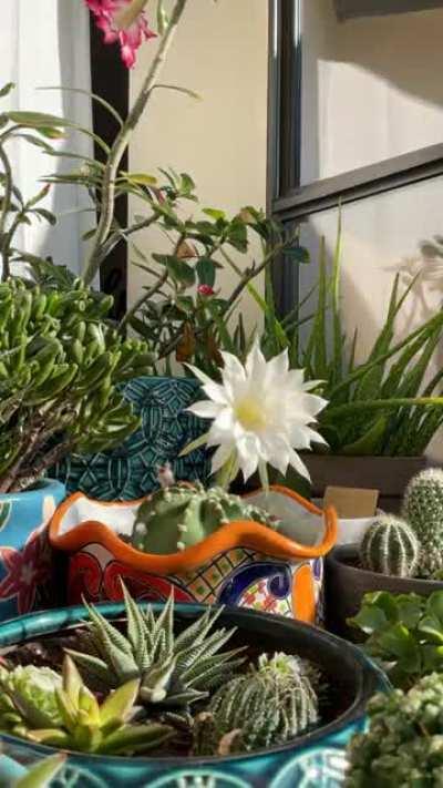 Good morning, good night.