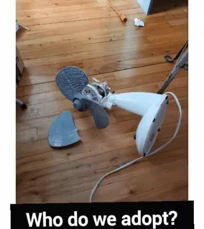 Who do adopt into the AutisticPilking family?