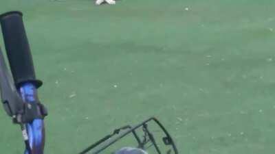 Kid kicks a cat, karma ensues