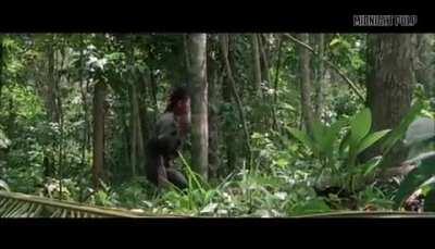 HK-realism but I hope it's still ok: Deadly leafs