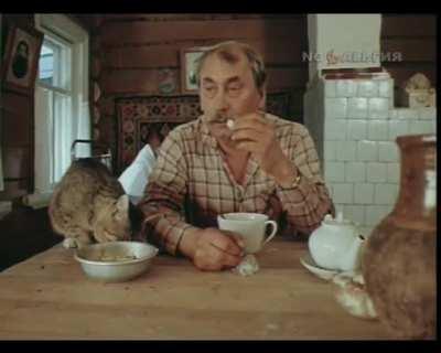 А Васька слушает и ест)