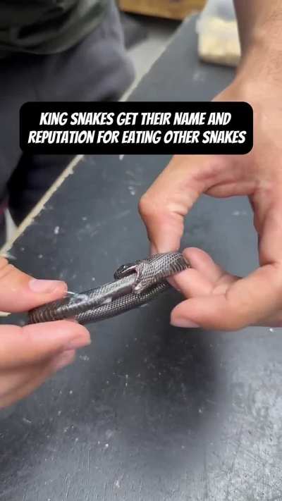 Fellow Daoist, don't leave your bracelet in mortal realm