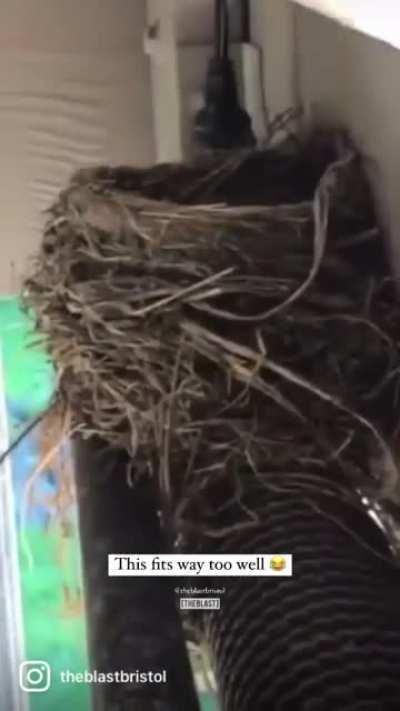 This got me 😅🐣 @theblastbristol