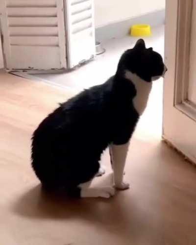 Танцевальная пауза