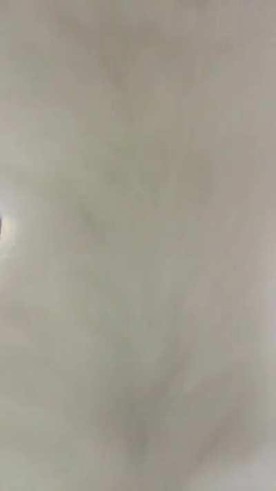 Wife brought home a stray kitten we’ve been taking care of. She hates cell phones and constantly tries to bite them