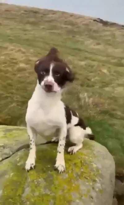 Moment with a strong breeze.