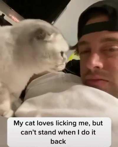 Cat hates the lick