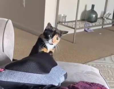 Greebles? When in doubt, slap it about