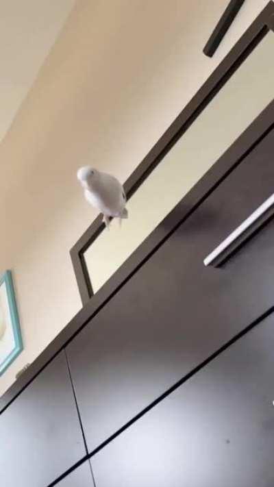 90’s Nostalgia.. 😂