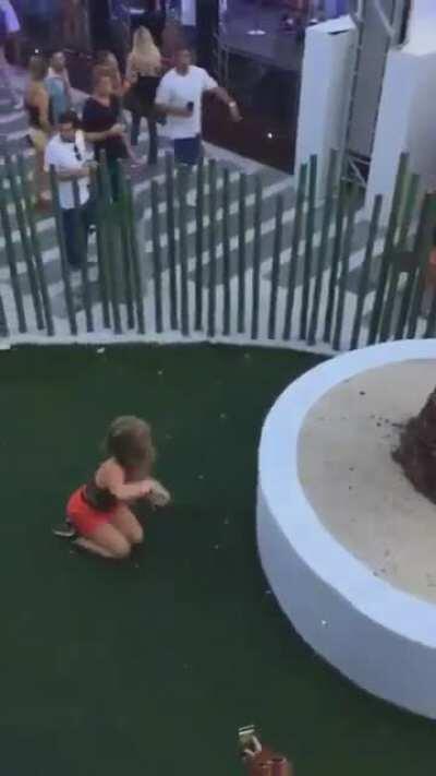 HMC she try to get up on the tree and unfortunately that what happened