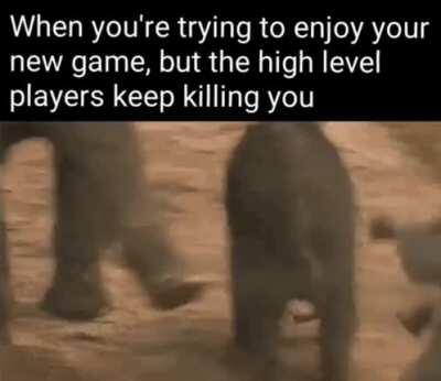 Stop. Killing. Me. DAMMIT!