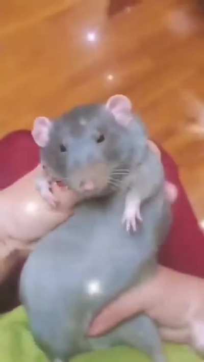 When the hand that feeds you also makes you groove💃