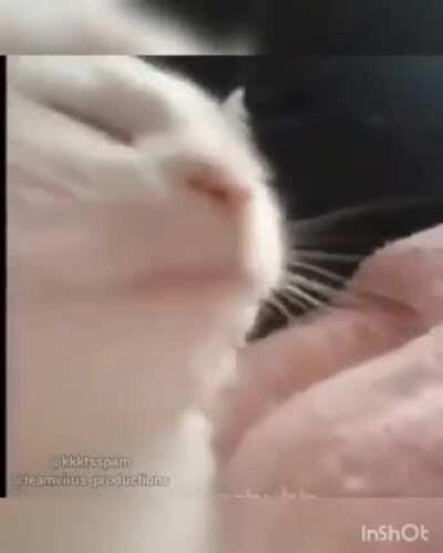 Me everytime the Red Right Hand plays man I love Peaky Blinders ❤️(Sorry for the bad editing)