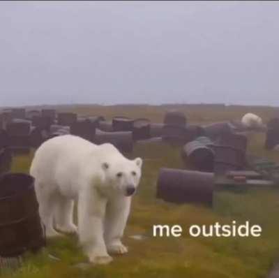 gayass people in my phone recommend me some goreshit/machinegirl/sewerslvt/aphex songs, ive been wanting to listen to some of their songs i don know (idk most of their songs)