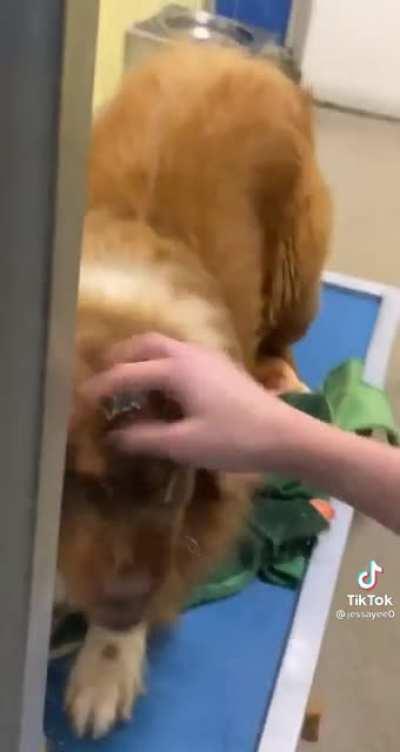 This is the cutest disclaimer I’ve ever ver seen