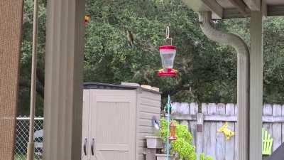 I've never seen this many