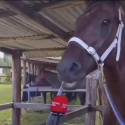 Ele disse isso mesmo ?