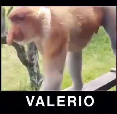 Valerio 😳👌