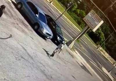 Local Samurai Needs a New Sensei After Almost Reaching Nirvana