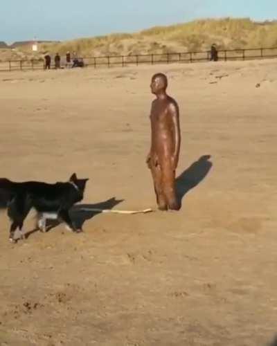 Dog trying to play fetch with a statue
