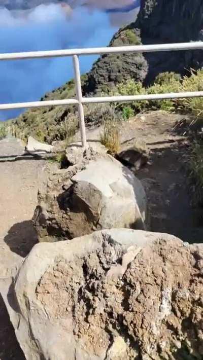 I wanted to suck his cock in a national park