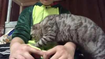 Maybe he won't notice if I just...