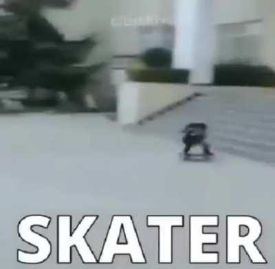 Spider and skater