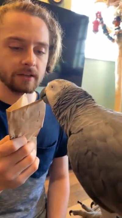 Parties need jokers aha