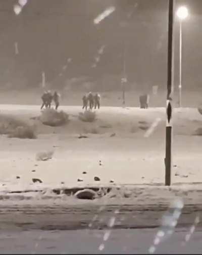 Bariloche: fuerte despliegue policial