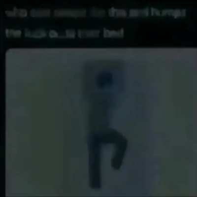 Who (also why is lesbianinsectbrothel banned come on bro)