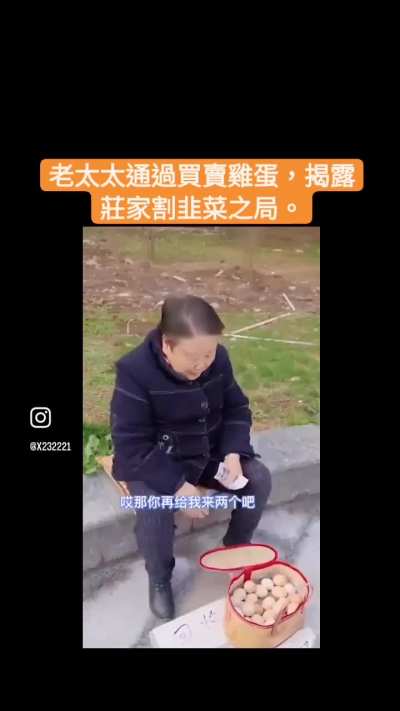 卖鸡蛋的老太太告诉你什么叫割韭菜😹