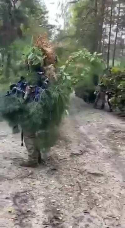Ents arrive, to help Gondor (Ukraine) fight the 0rkZ horde