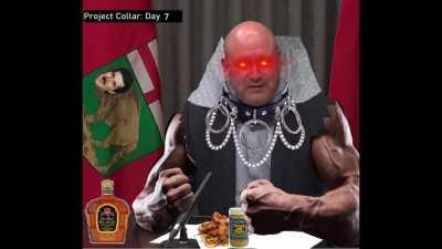 The Collar Project: A Progression and Video Memorial.