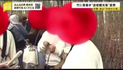 Malaysian tourists caught vandalising Arashiyama Bamboo Forest in Kyoto by Japanese news agency