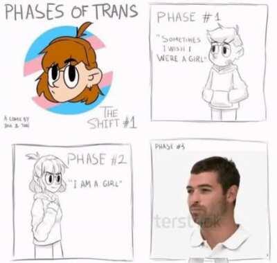 phases of trans