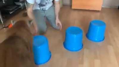 eViL W4RL0Ck uSeS M4giCk tO dEsTr0y dUMb CAt