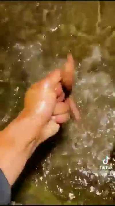 This new zach hill track is fire😤😤😤🔥🔥🔥