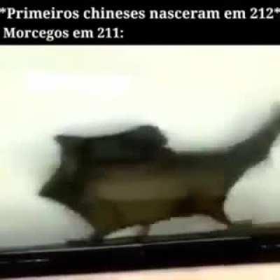 Os morcegos Viviam em paz