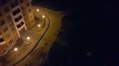 Nothing says Russia like a pack of feral dogs chasing a laser pointer in the middle of the night.