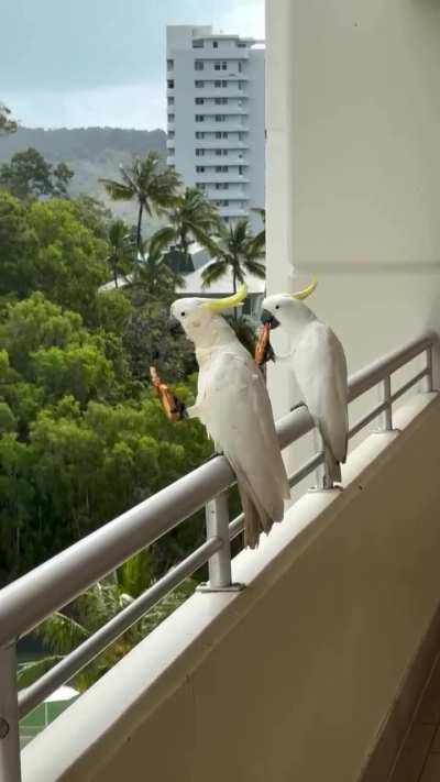 The time was 6:26 a.m.