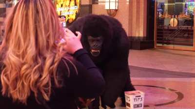 Man in Gorilla costume getting freaky