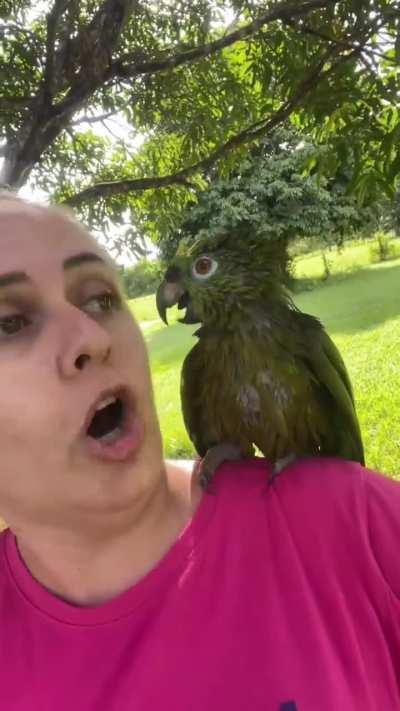 Ты зачем, ссука, кабель погрыз? И не смей оправдываться и прирекаться!