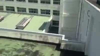 What did I just watch?