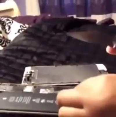 Saw this on iFunny, and this is exactly why its called “spicy pillows”