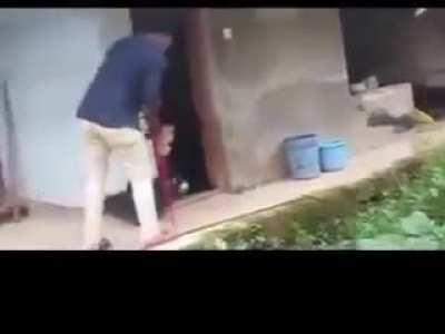 How not to rescue a king cobra.